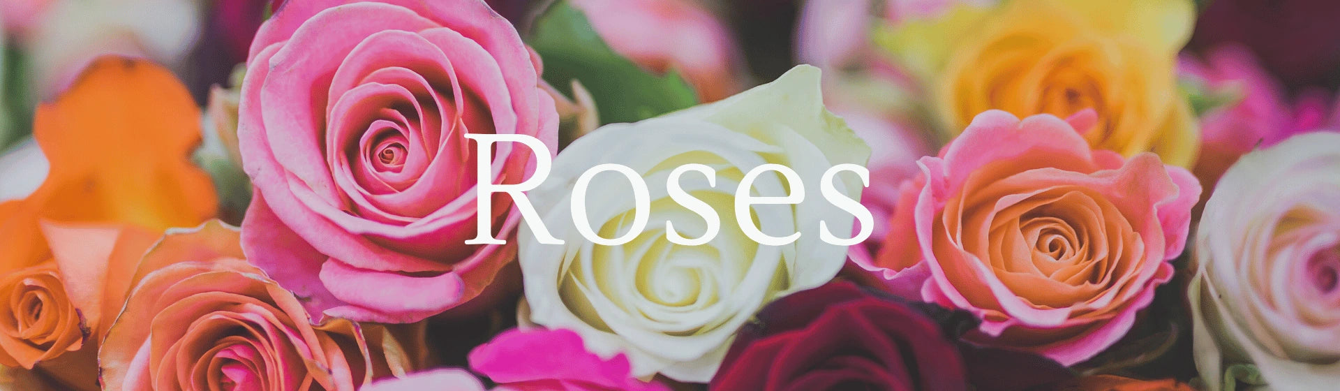 It is all about Roses