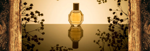 What Does Autumn Smell Like? Exploring the Aromas of Fall & Fragrance Trends