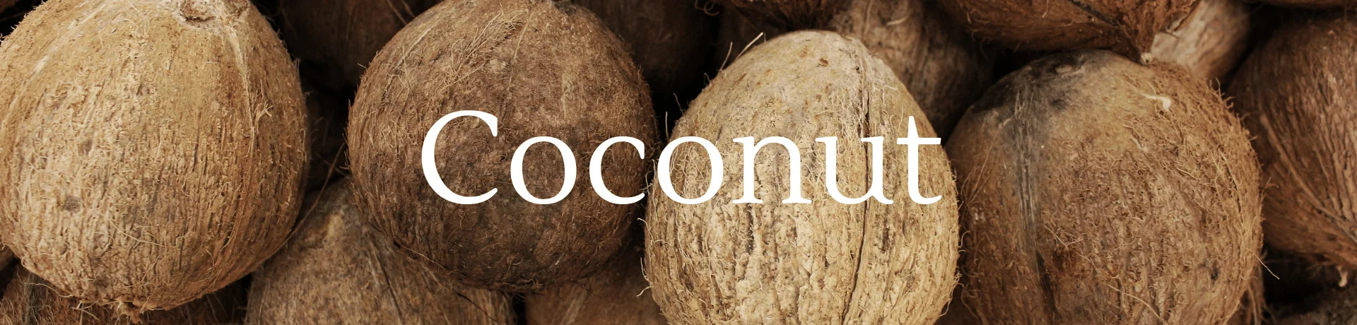 Coconut Fragrances