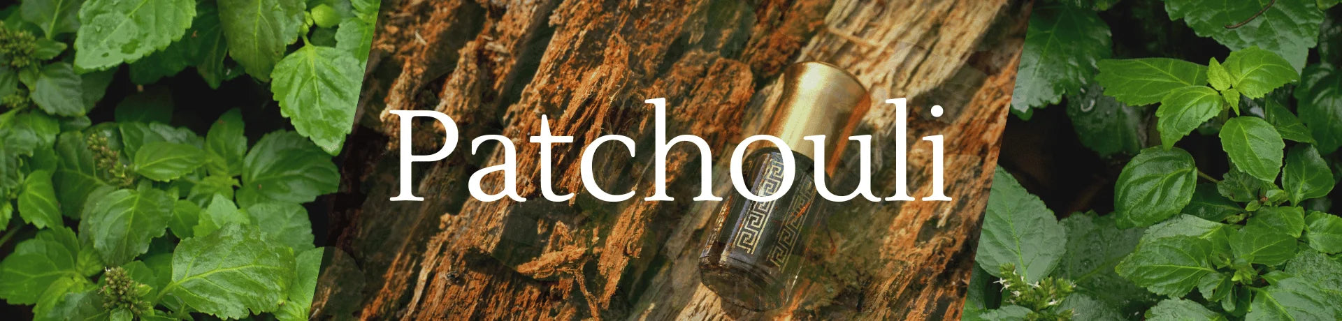 Patchouli Fragrances