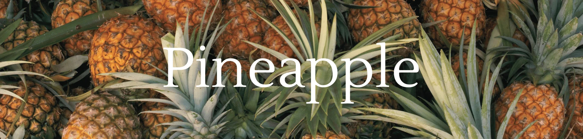 Pineapple Fragrances