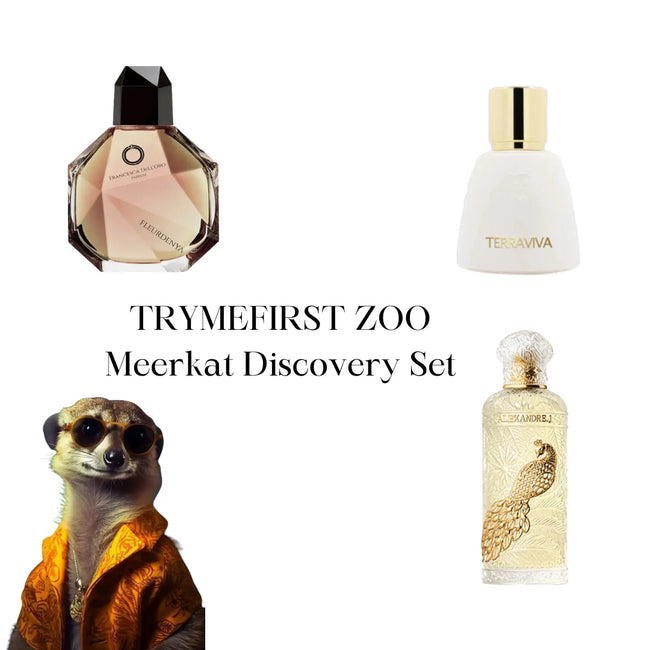 TRYMEFIRST ZOO: MEERKAT DISCOVERY SET