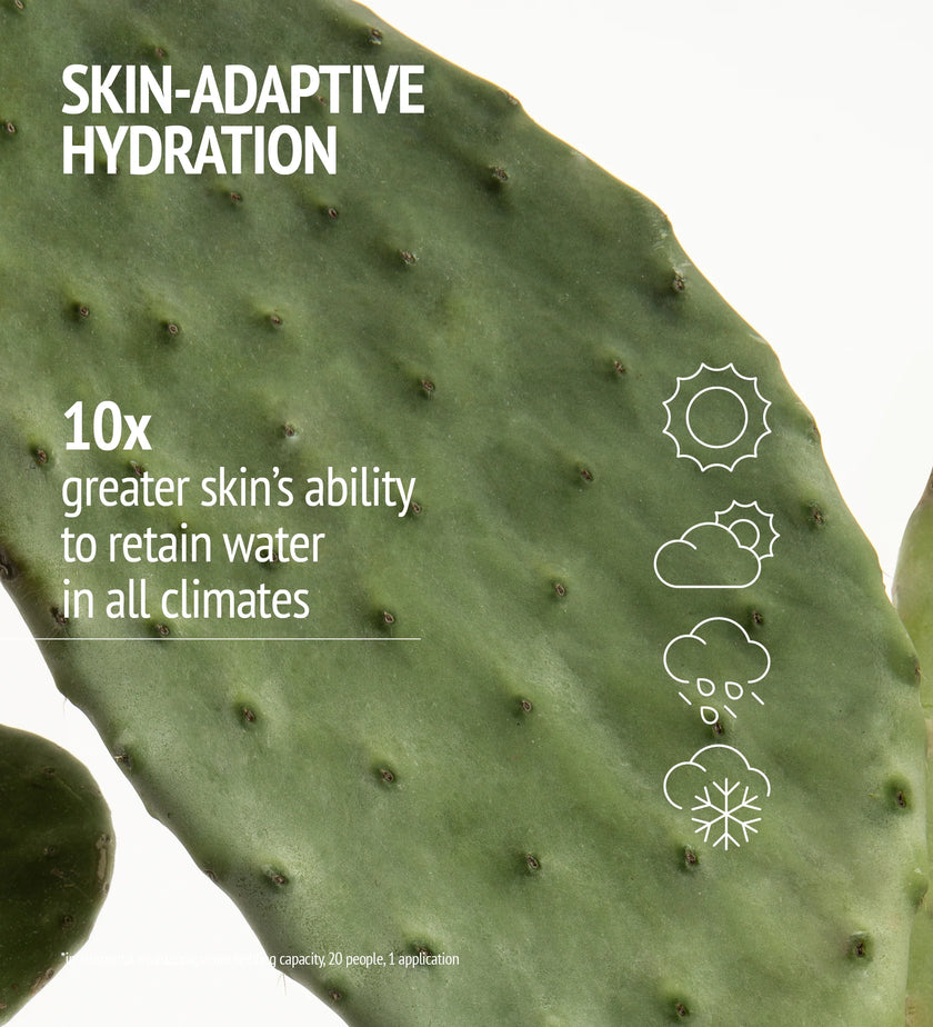 HYDRAMEMORY RICH SORBET CREAM