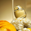 Mango Sticky Rice