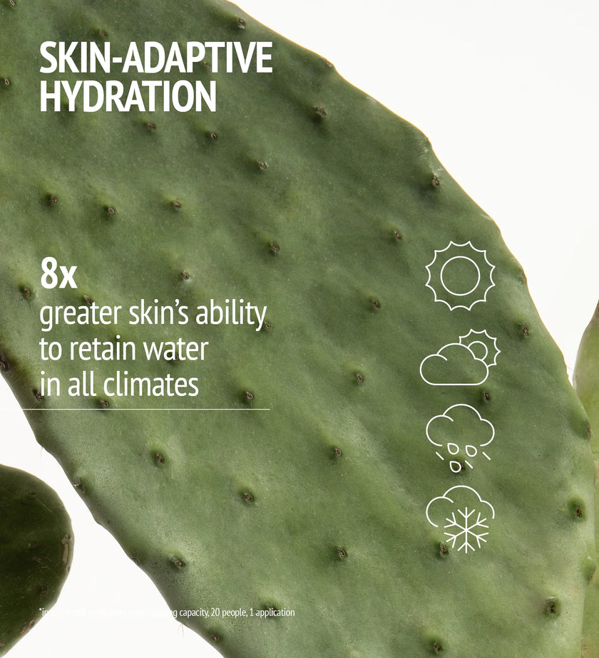 HYDRAMEMORY LIGHT SORBET CREAM