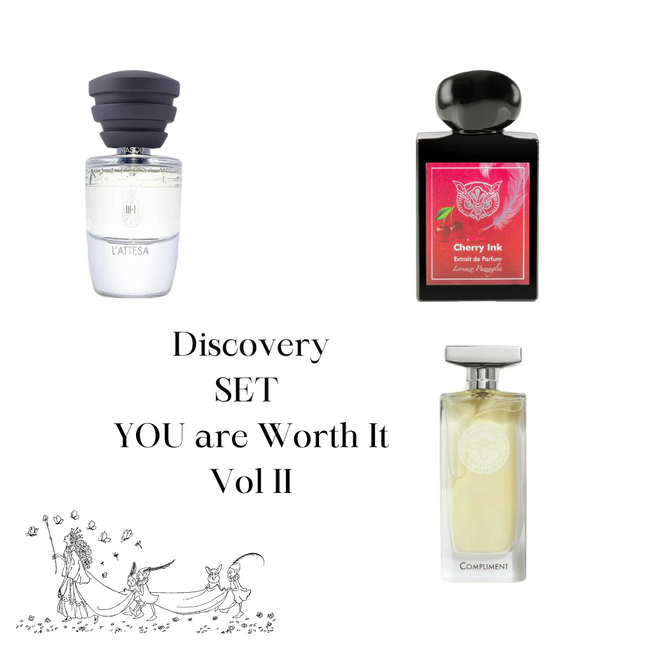 Discovery Set YOU Are Worth It Vol II